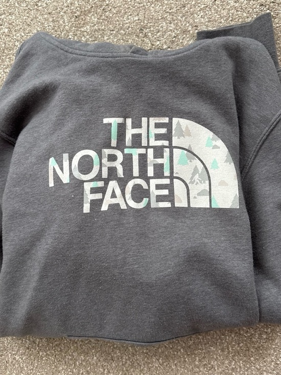 The North Face Other - The North Face Charcoal Crewneck Sweatshirt with Mint & White Logo